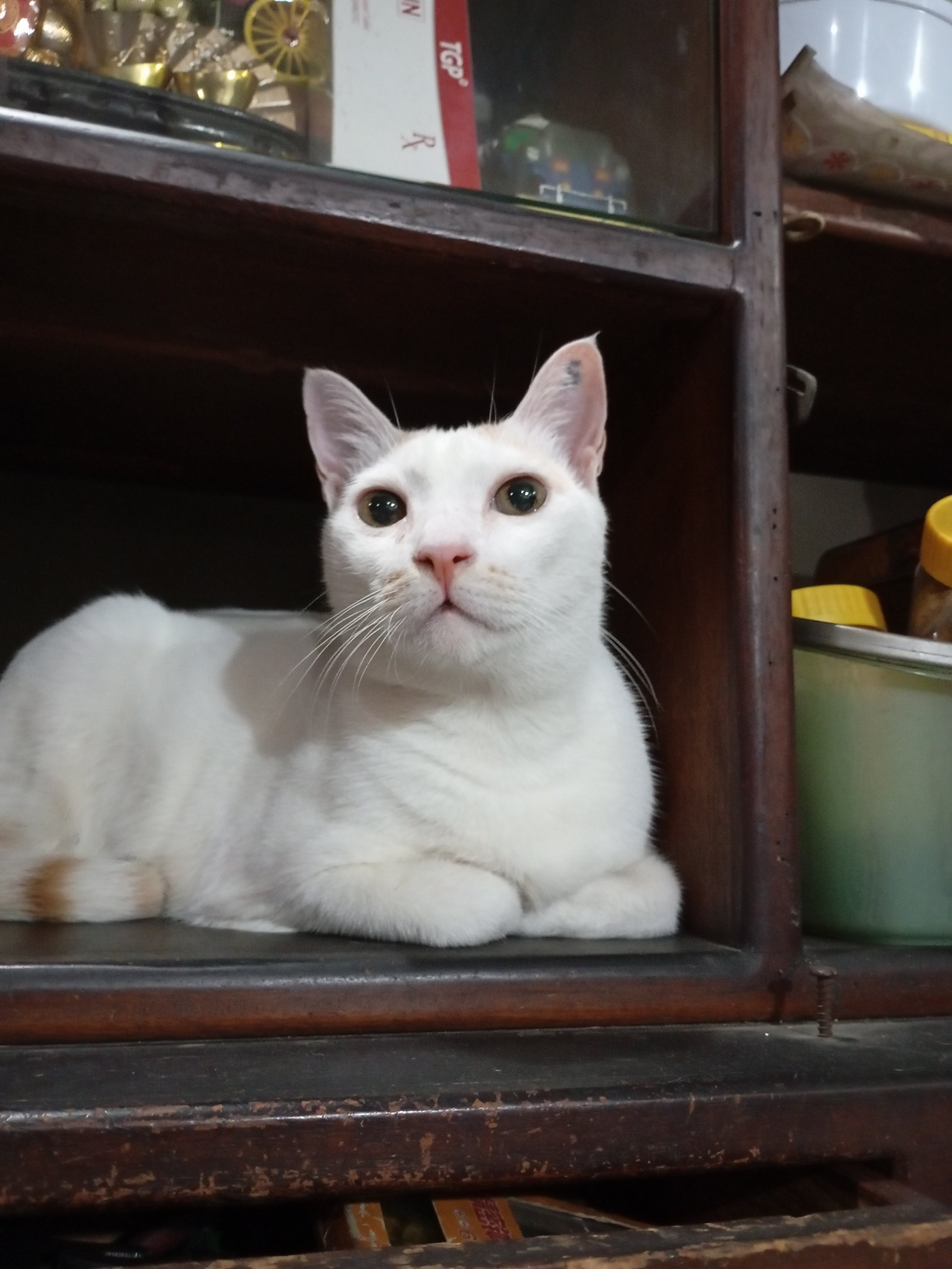 one of Manny's newest spot in 2026