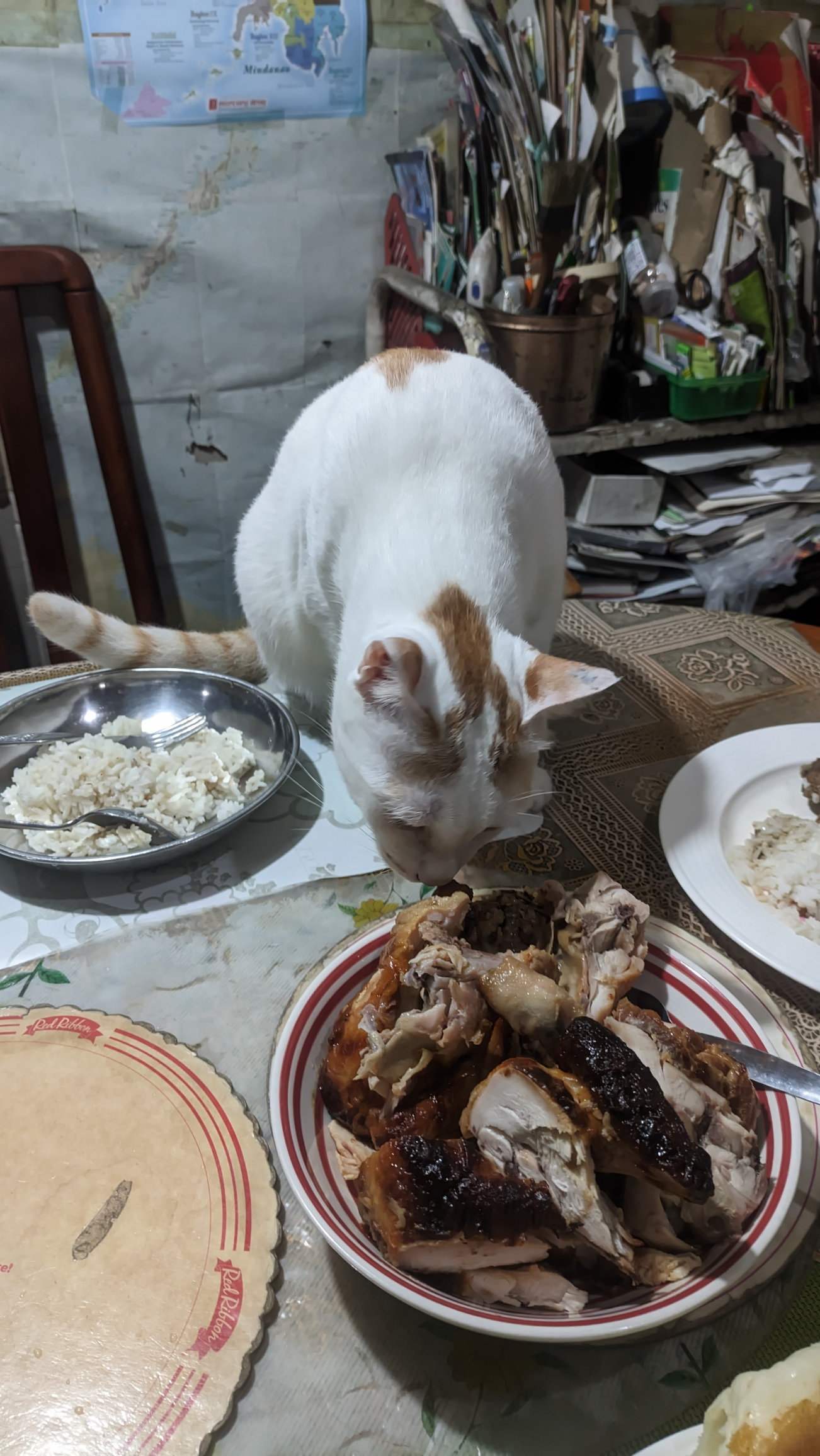 Manny eating roast chicken