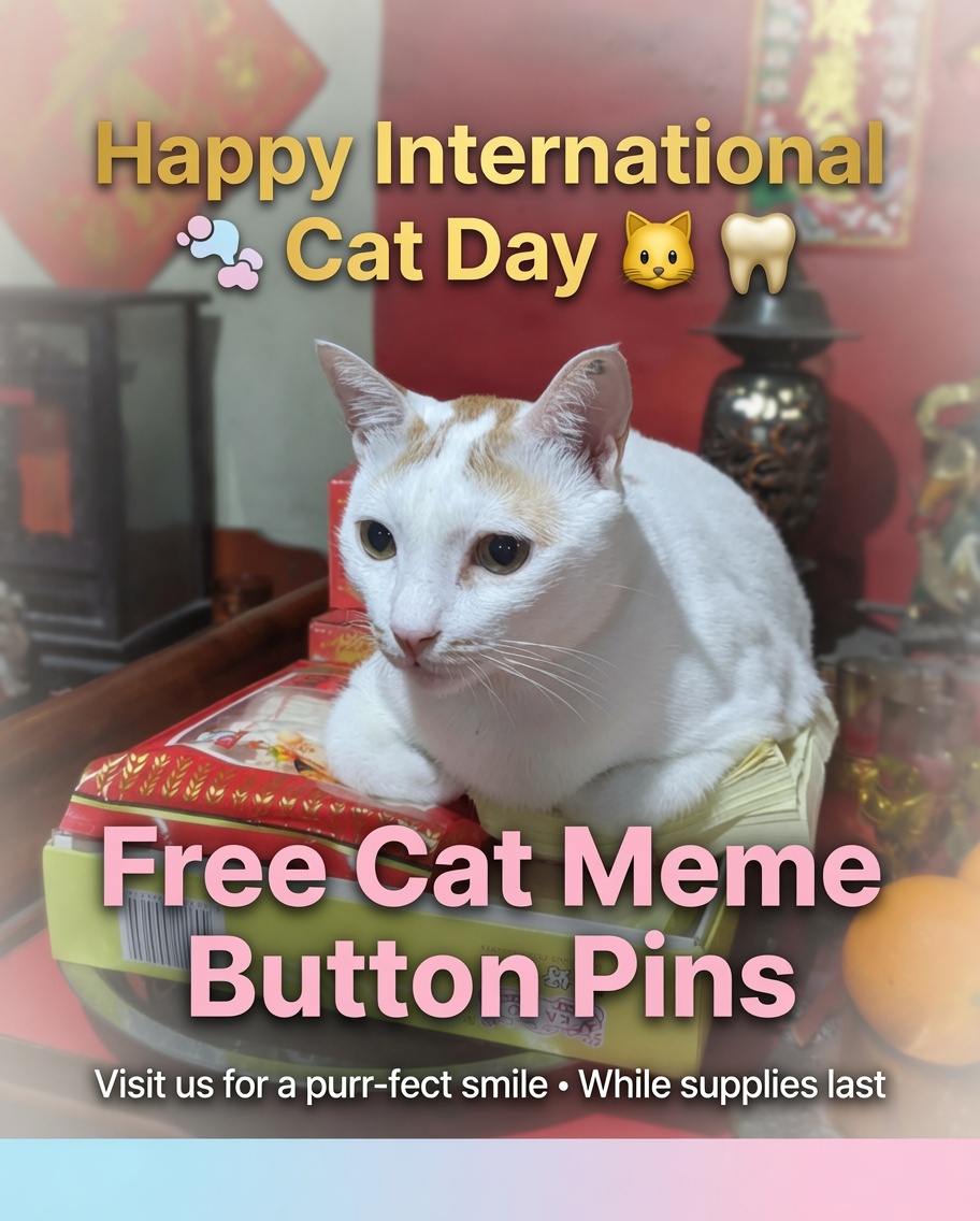 HDO International Cat Day 2026 Manny 1