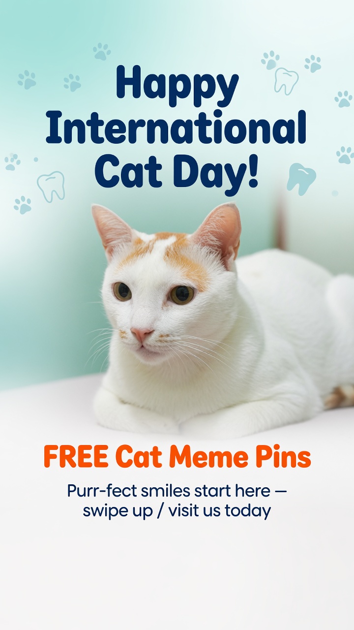 HDO International Cat Day 2026 Manny 2